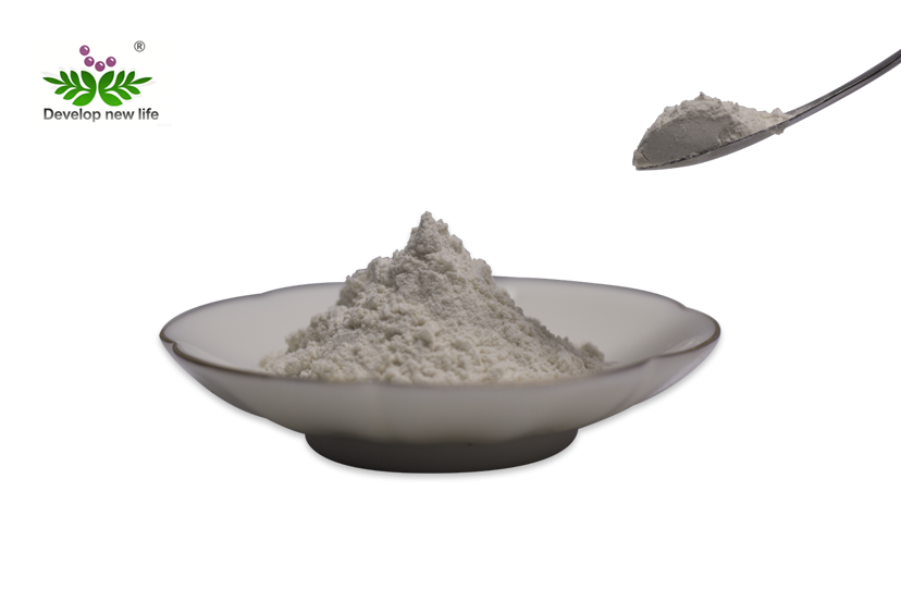 Organic Mung Bean Protein Powder
